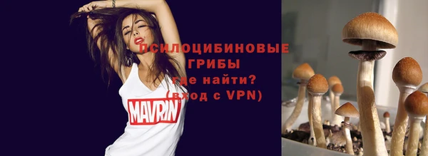бошки Аркадак