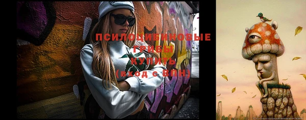 стафф Баксан